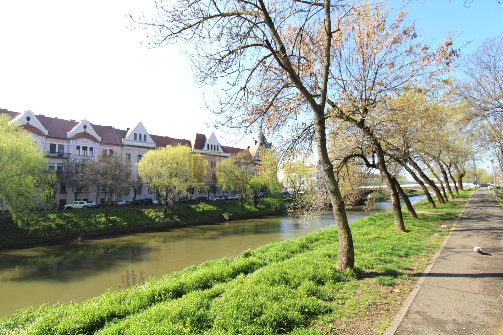 3 camere, etaj 2, lift, prima inchiriere, vedere spre Bega - Poză 15