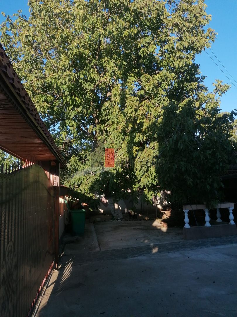 Comuna Dascalu-lfov-Vila D+P+M-5 camere-teren 772mp-ZERO comision cumparator - Poză 8