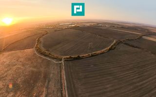 Teren arabil 68,800mp Zimandu Nou - Poză 2