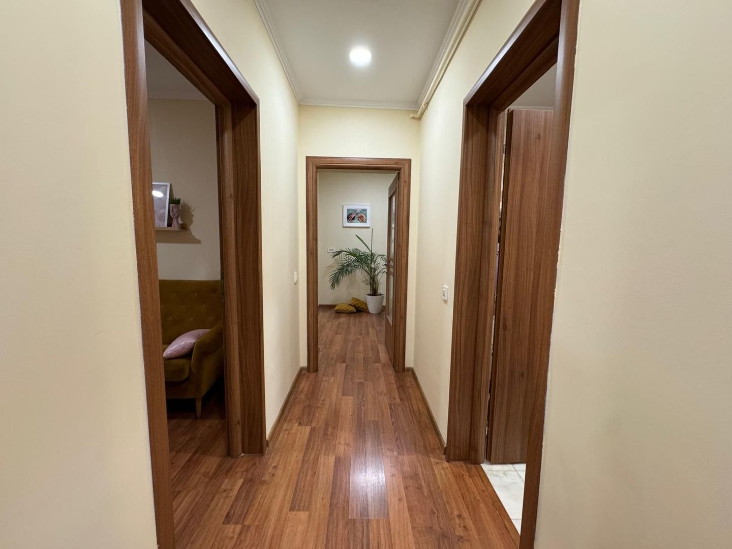 Apartament spatios etaj 1 I pretabil locuinta sau activitate profesion - Poză 2