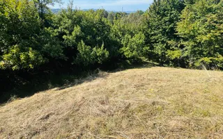 TEREN INTRAVILAN 3234 MP LEREȘTI VOINEȘTI ARGEȘ - Poză 16
