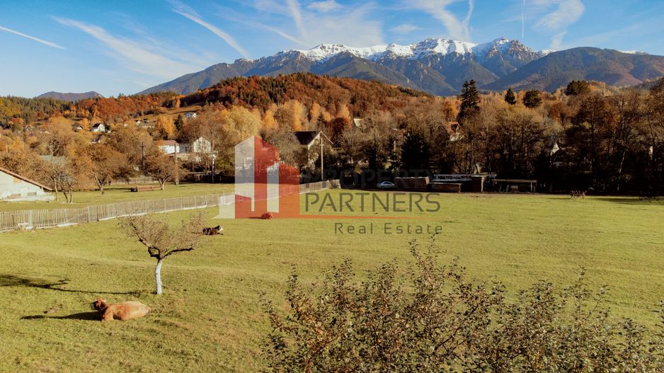 Teren 15.941 mp Moieciu | parcelabil | aproape de Castelul Bran - Poză 1