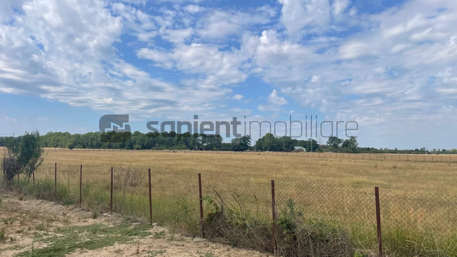 Teren Intravilan 1 ha – Acces Drum Asfalt | Ideal Rezidențial - Poză 1