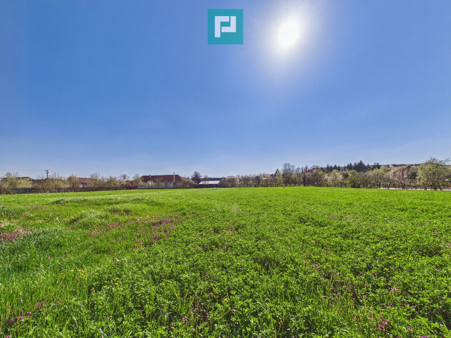 Teren intravilan 3024 mp, în comuna Almaș, Arad - Poză 5