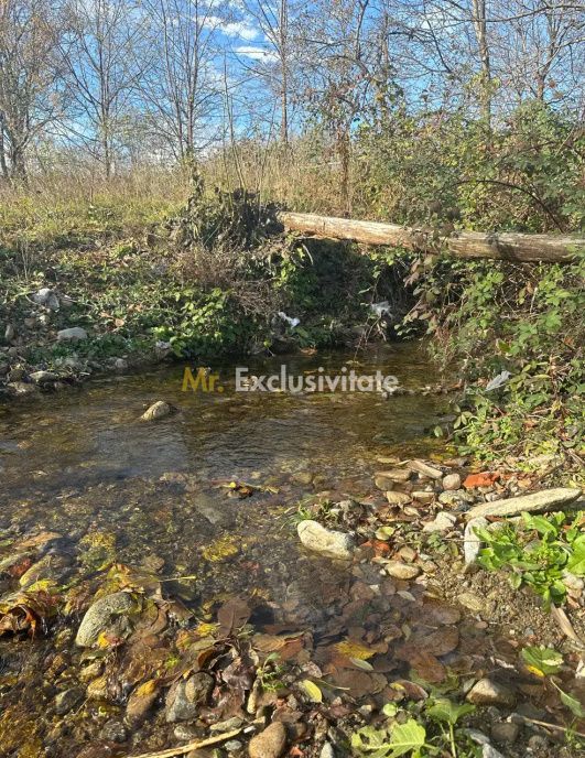 Teren mixt de vânzare Crasna Gorj, aproape de Rânca– 19.209 mp - Poză 8