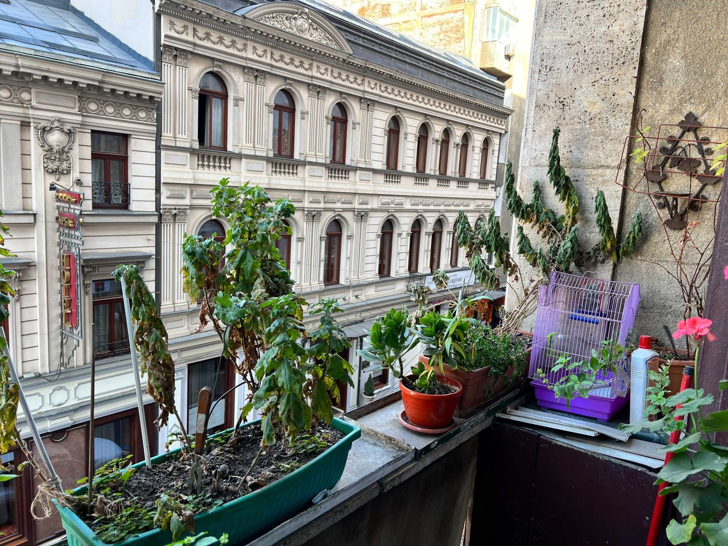 De inchiriat apartament 2 camere UltraCentral, bloc romanta - Poză 1