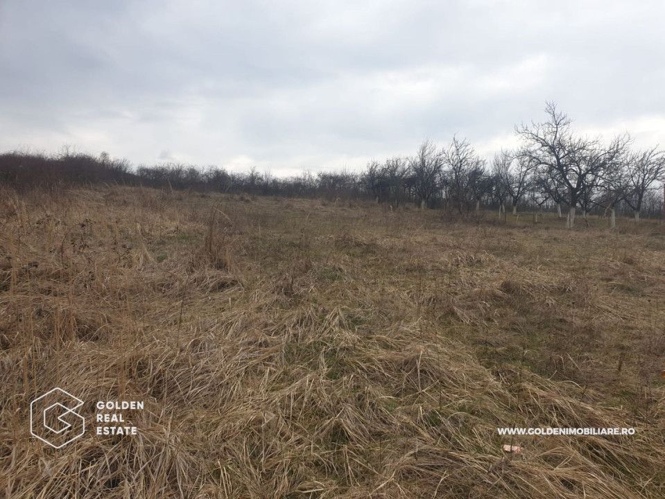 Teren intravilan 3841 mp, situat central, Covasint - Poză 2