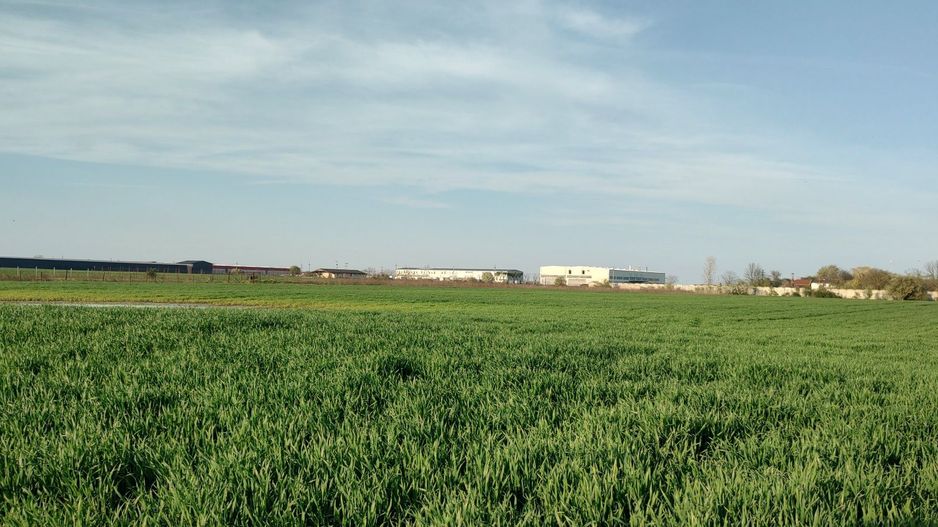 Pret minim!  teren de 1000 m2 în Balotești - Poză 3