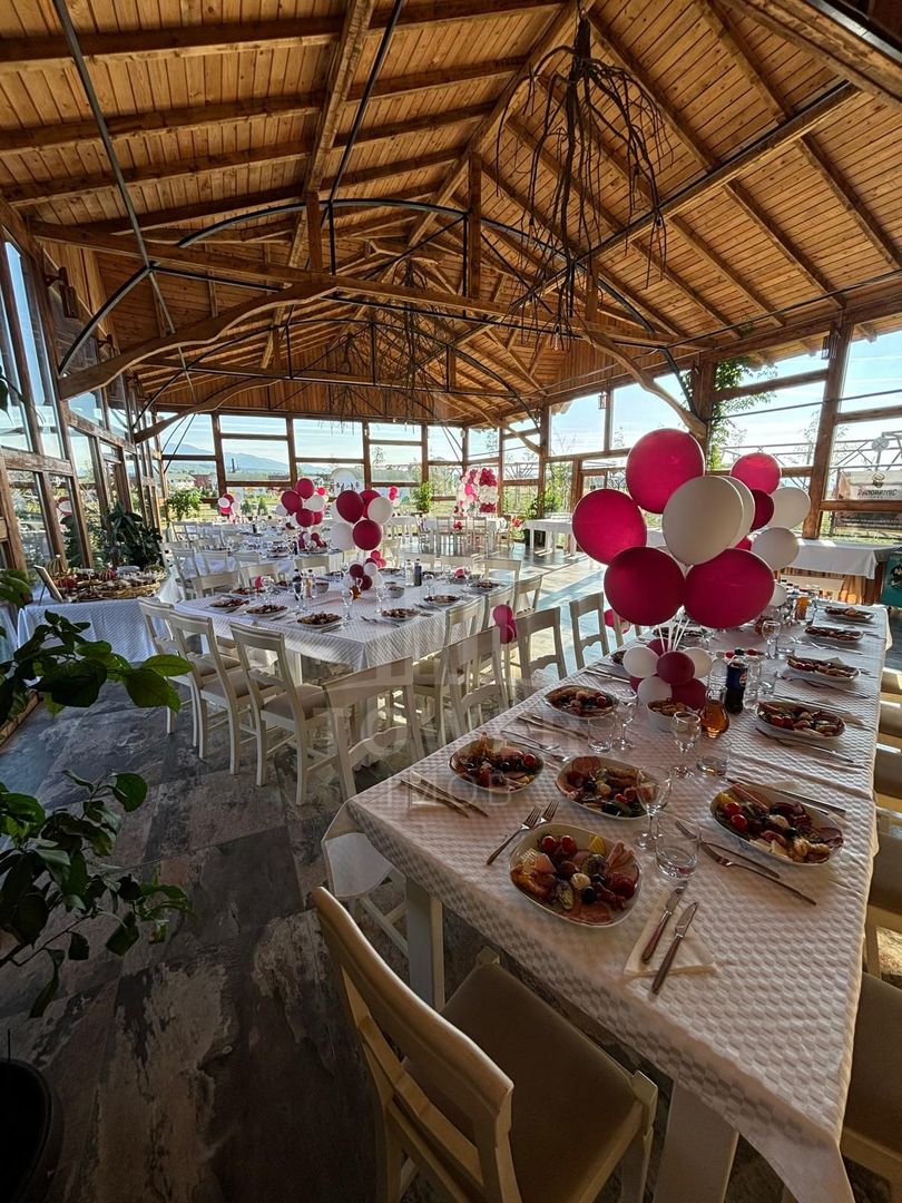 Închiriere Spațiu Comercial – Restaurant - Valea Avrigului - Poză 2