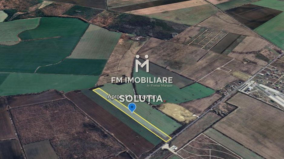 Teren intravilan – Crevedia – 62 de parcele – Acces din DN1A - Poză 3