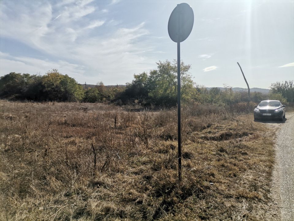 Vanzare teren arabil 22 Ha, plan, Arges, Moraresti - Poză 7
