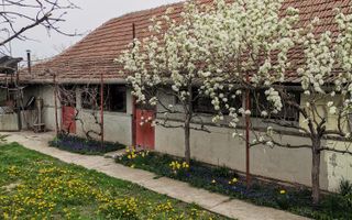 Casă cu grădină mare, aproape de Arad – preț promoțional 34.700 € - Poză 1