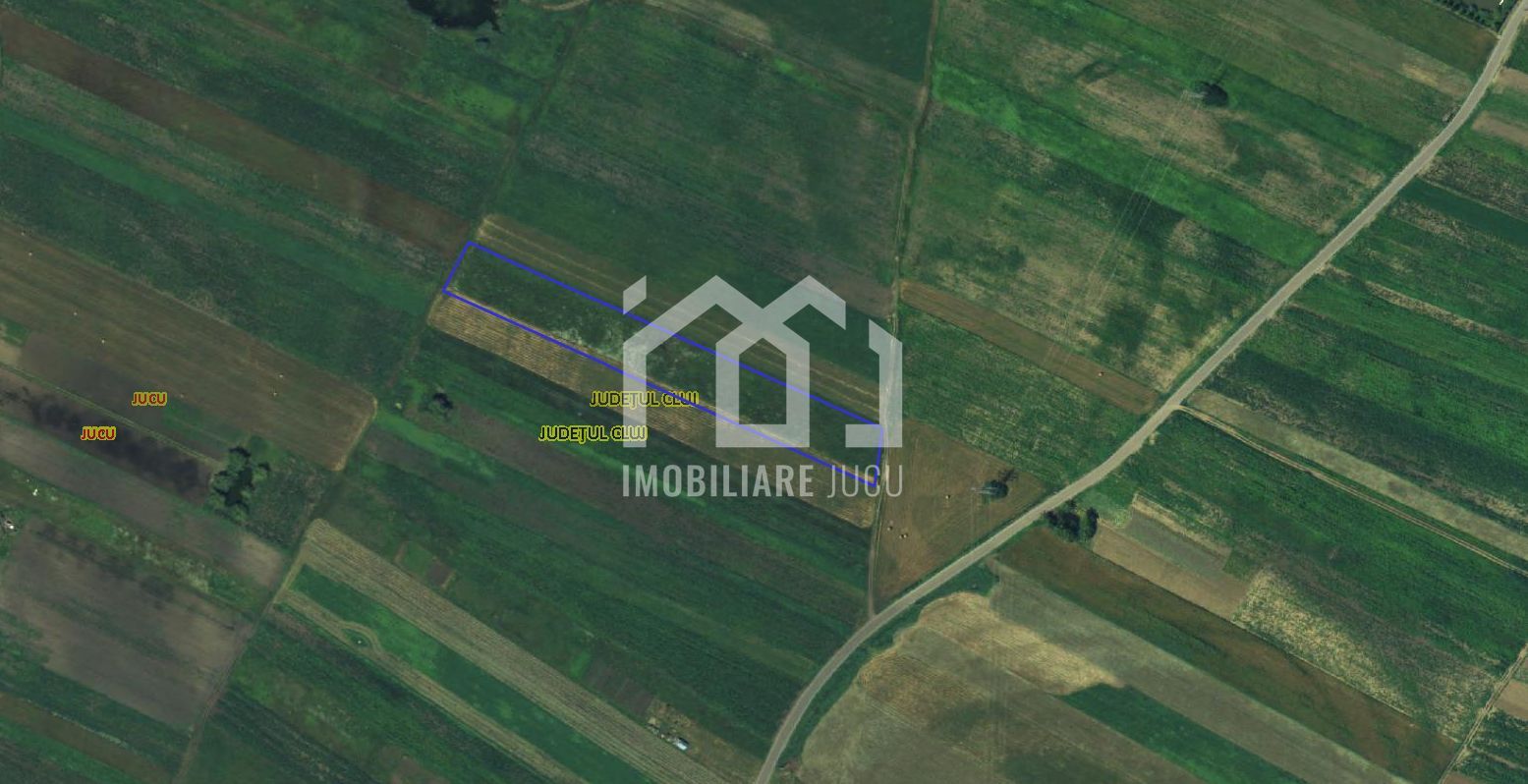 Teren intravilan – 7.400 mp | Jucu de Mijloc - Poză 1
