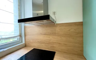 Apartament cu 2 camere + Parking //Floreasca - Amazing Lake View - Poză 32