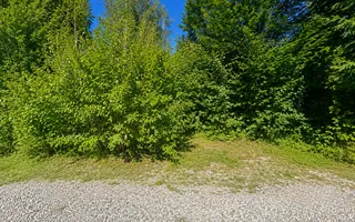 TEREN INTRAVILAN 744 MP | VALEA AVRIGULUI | IDEAL PENTRU CABANĂ - Poză 17