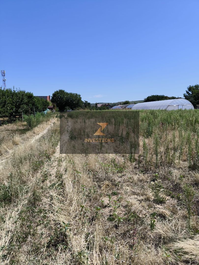 Teren intravilan Biharia 11058 mp - Poză 1