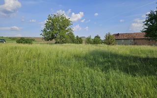 Teren intravilan 3000 mp Ernei – panorama superba, utilitati in zona - Poză 3