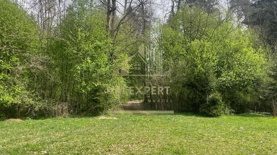 TEREN INTRAVILAN 1800 MP MIHAESTI ARGES COMISION 0 - Poză 1