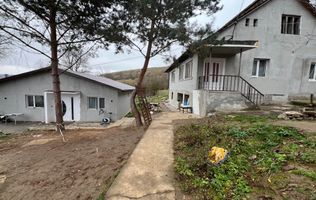 Două case individuale de vânzare în Teliuc –ideale pentru două familii