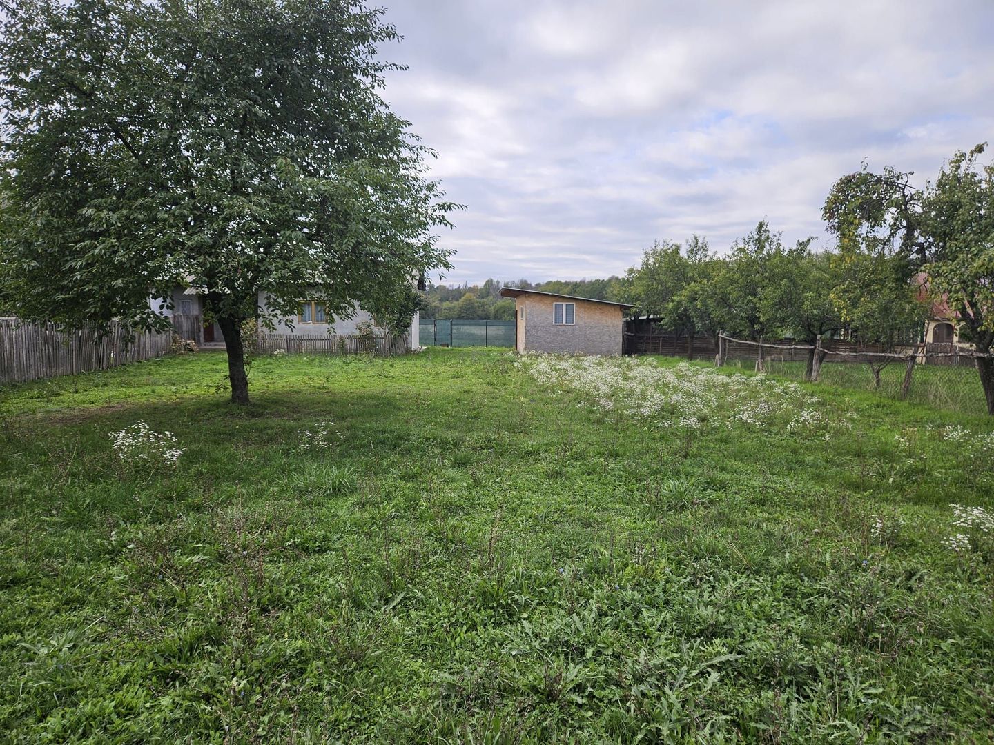 Casă de Vânzare în Albota, Sat Mareș – Liniște și Natură la Doar 10 Km - Poză 16