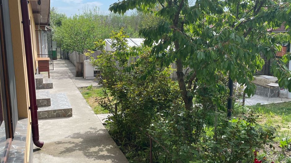 Casa 4 camere Teleorman Com Vartoapele - Poză 6