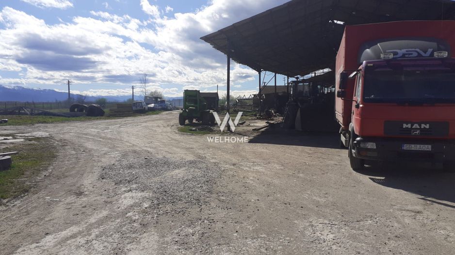 Spatiu industrial-baza depozitare cu cale ferata-Arpasu de Jos - Sibiu - Poză 10