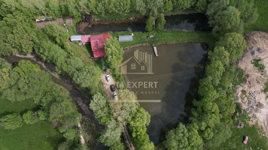 CASA 3 CAMERE, TEREN 6200 MP + 2 LACURI, CAMPULUNG, NAMAIESTI - Poză 15