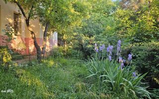 Vila de închiriat în Copou, gard în gard cu Grădina Botanică - Poză 5