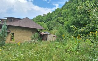 VANZARE ANSAMBLU CASUTE BRADULET ARGES - Poză 13