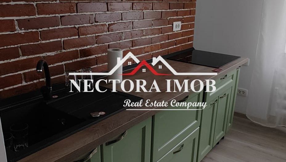 NECTORA IMOB-Apartament 2 camere,Piata Bucuresti, Zona Centrala,Utilat - Poză 4