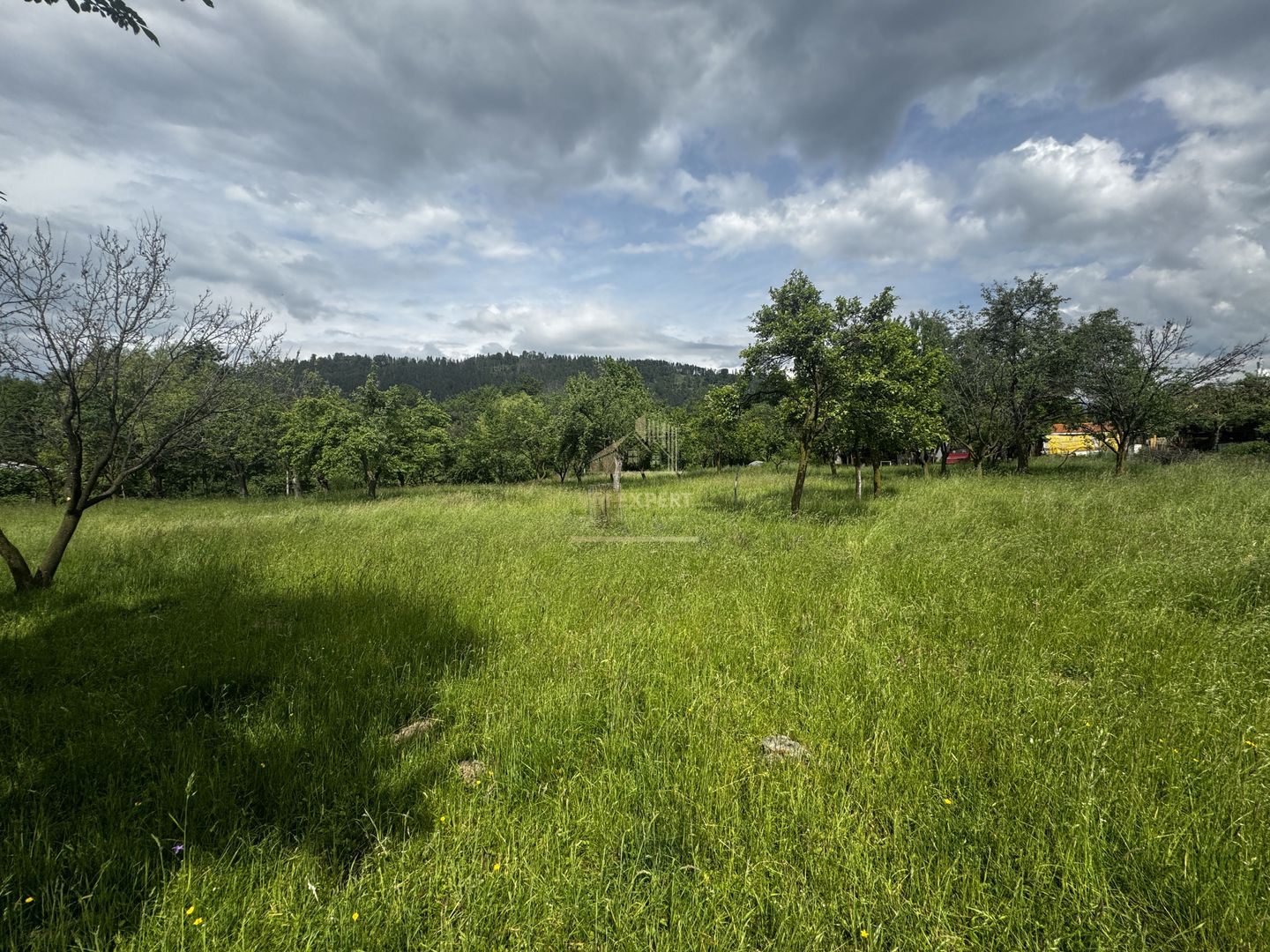 TEREN INTRAVILAN 4600 MP, VOINESTI, LERESTI, ARGEȘ - Poză 5