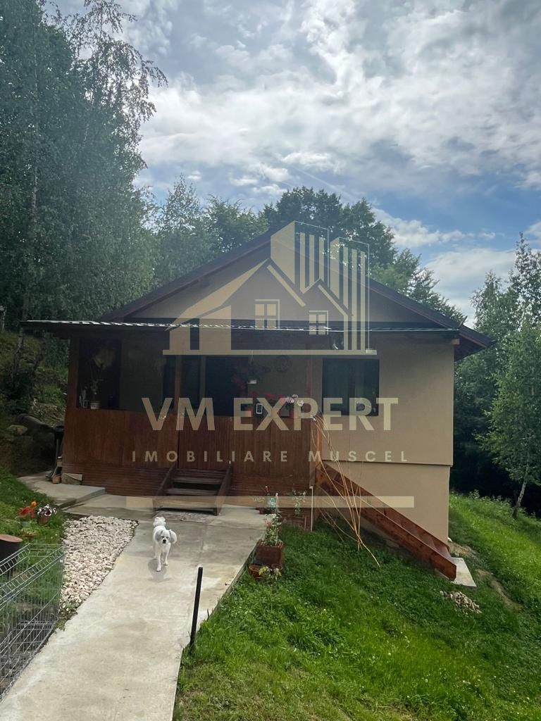 CASA 3 CAMERE, TEREN 3100 MP, ALBESTI DE MUSCEL, ARGES - Poză 13