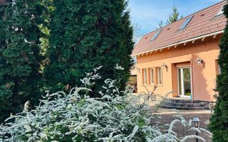 Vila remarcabila+casa boiereasca,in pretios areal de 2.100 mp, Santana de Mures - Poză 6
