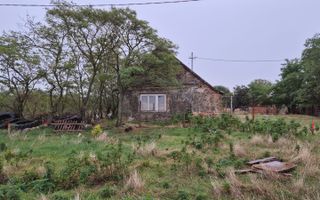 Teren 910 mp cu casa veche – Seceani - 30 km de Timișoara - Poză 2