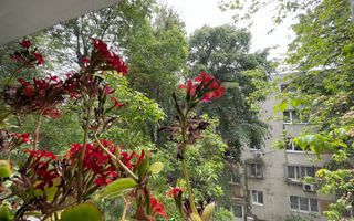 Oportunitate***Apartament 4 camere//Bloc tip boutique***Apusului - Poză 45