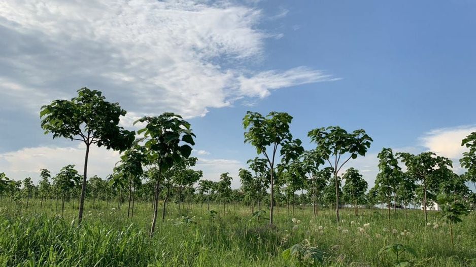 Loturi de teren pentru constructii de case in Paradise Valey - Poză 1