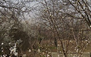Teren 2,000mp Prelungirea Ferentari - Poză 3