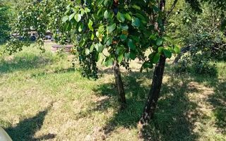 974 mp de vis, între pădure și cer - Teren intravilan, Cisnadioara, Sibiu - Poză 3