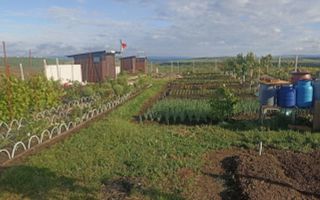 Teren Intravilan 470 mp   Horlești, Comuna Rediu (Proprietar) - Poză 6