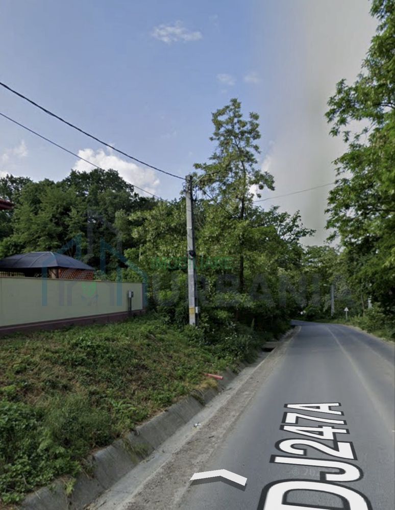 Teren pădure 3650 mp cu deschidere 42 m la Șos. Bârnova, ideal investiție pe termen mediu și lung - Poză 1