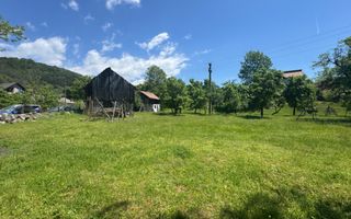 TEREN INTRAVILAN 3477 MP STOENEȘTI BĂDENI ARGEȘ - Poză 1
