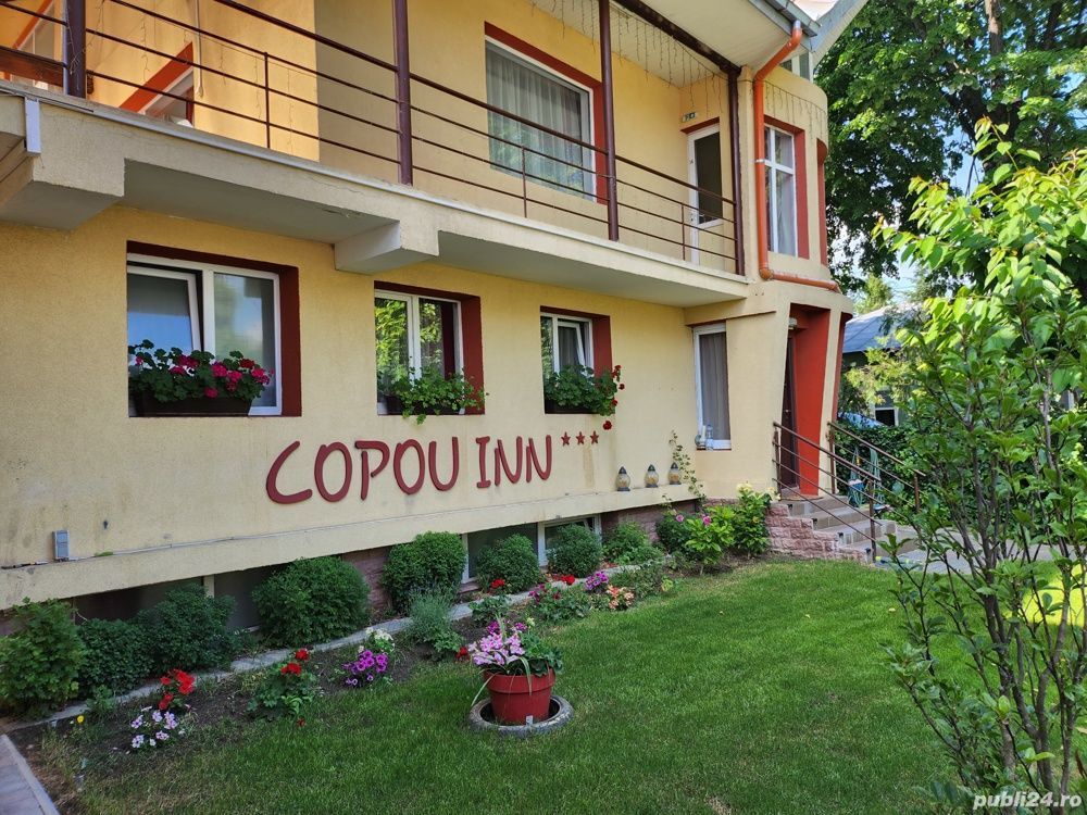 Proprietate de vanzare - Poză 6