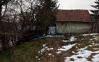 Casa de vânzare in Ohaba - Poză 4