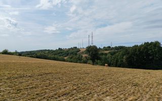 Teren Intravilan 17.800 mp Șinteu - Poză 3