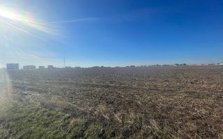 Teren 5000 mp Ghercesti in apropierea DEX - Poză 2