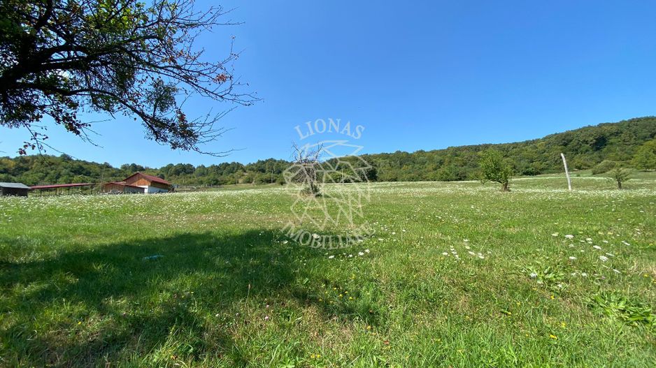 Teren 11.000 mp-ideal cabana/ferma-Unirea-Valea Slatinitei - Poză 8