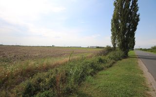 Terenuri  PUZ destinatie industriala 12.900 mp Centura de N - Poză 2