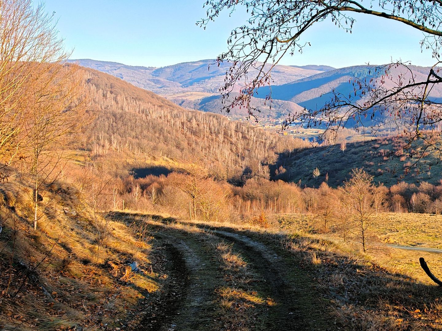 2,2 Ha TEREN INTRAVILAN PANORAMIC, in Muntii Apuseni NEGRENI – CLUJ - Poză 9
