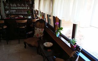 🏡 Proprietate exclusivistă cu 2 case, piscină și sală de fitness - Poză 13