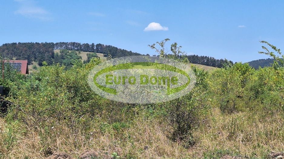 Sanpetru, str. Piersicului, teren 1182mp, 40 euro/mp - Poză 10